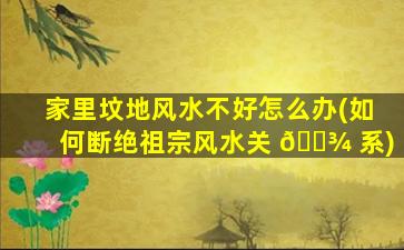 家里坟地风水不好怎么办(如何断绝祖宗风水关 🌾 系)